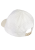 ZAIDA_1.png