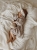 image00009.jpeg