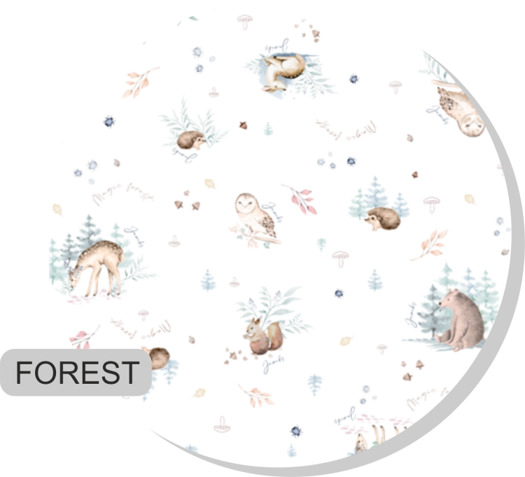 forest.png