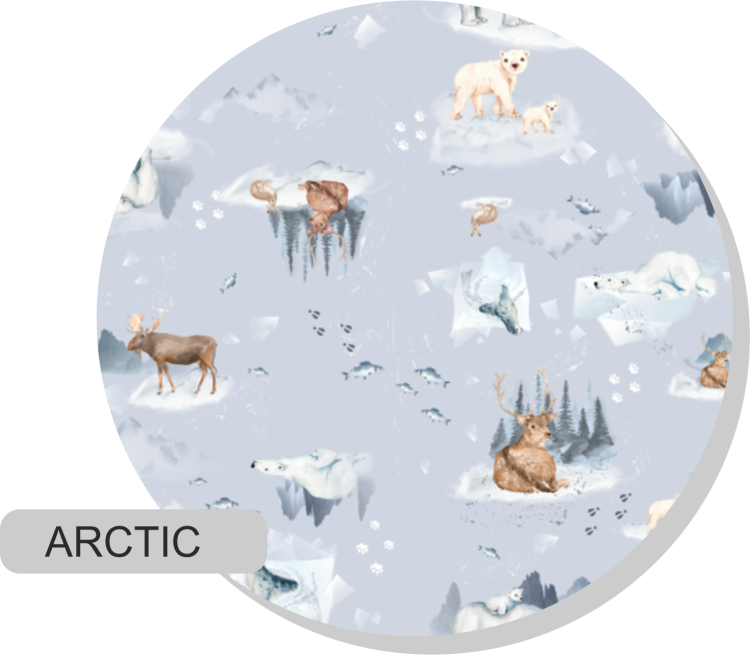 arctic.png