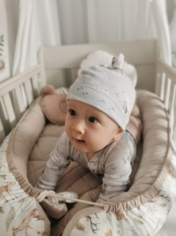 FRANKE bambus 8_1 (2).jpeg