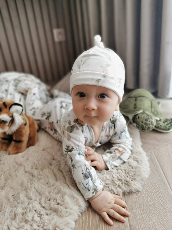 FRANKE bambus 1_1 (4).jpeg