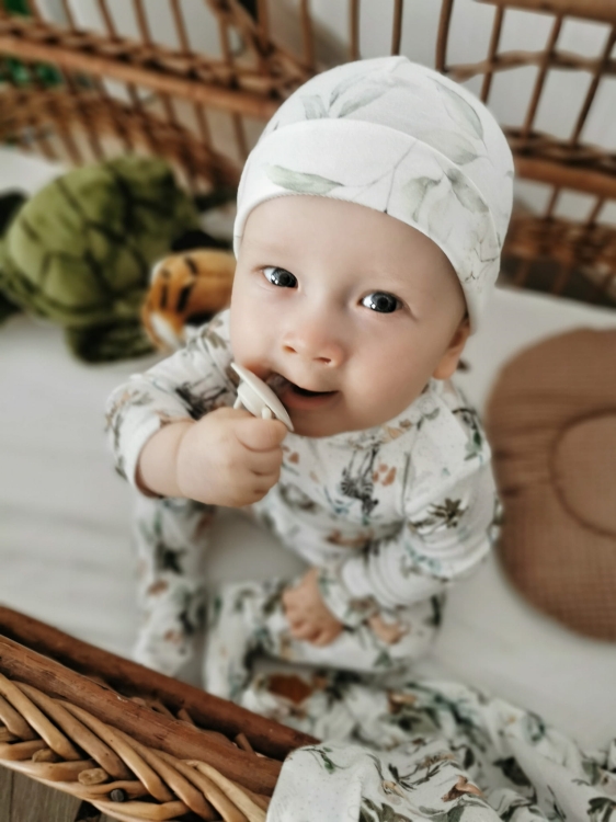 FRANKE bambus 1_1 (1).jpeg