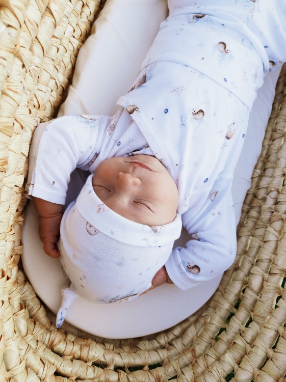 ANDY bambus 2 Forest (2).jpg