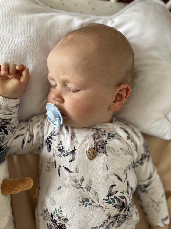 MISHA bambus 12_1 (4).JPG