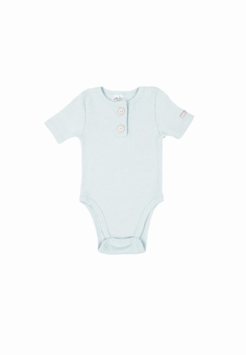 DUMBO II body 15.jpg