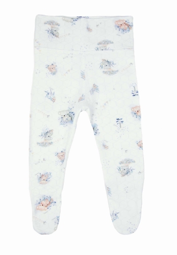 GUCIO półśpiochy 1.jpg