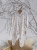 FRANZE bamboo 9_1 (3).jpg