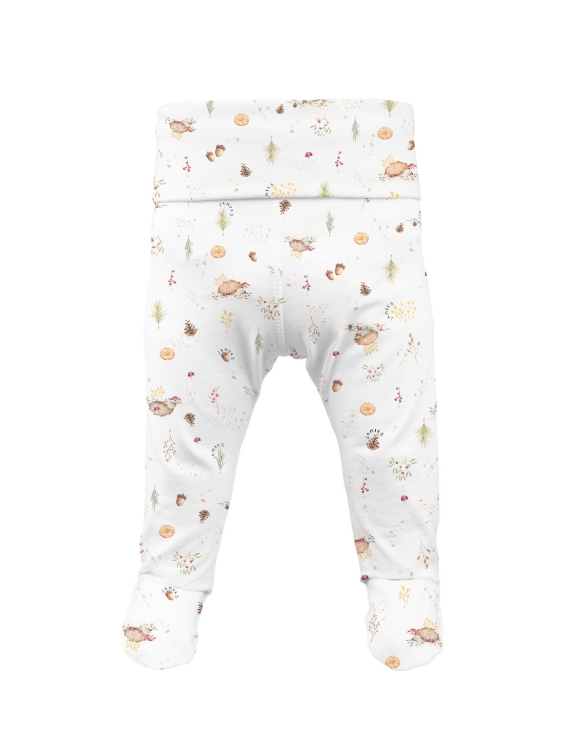 OLEO półspiochy 9.jpg