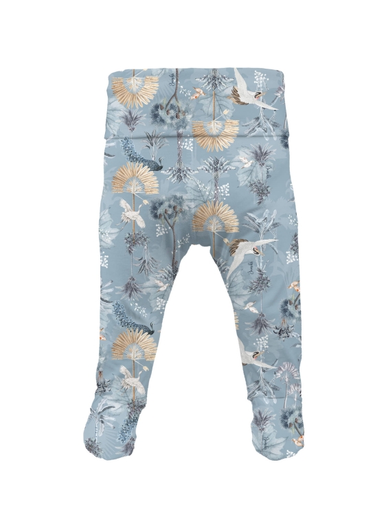 OLEO półspiochy 10.jpg