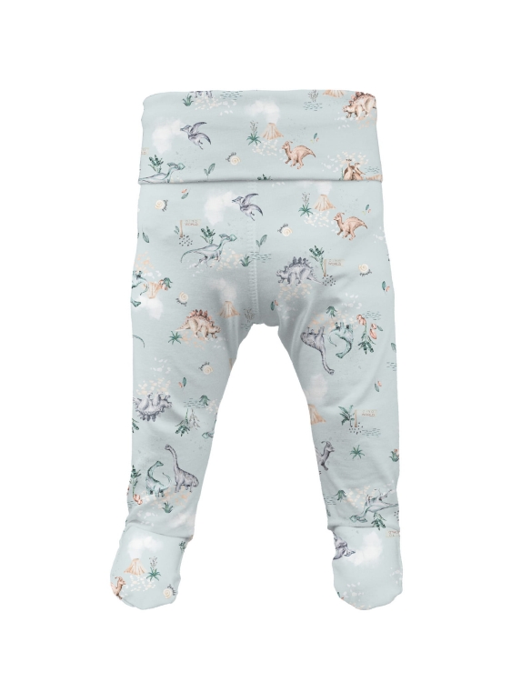 OLEO półspiochy 3.jpg