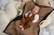 PAAL blanket 5_3 (1).jpg