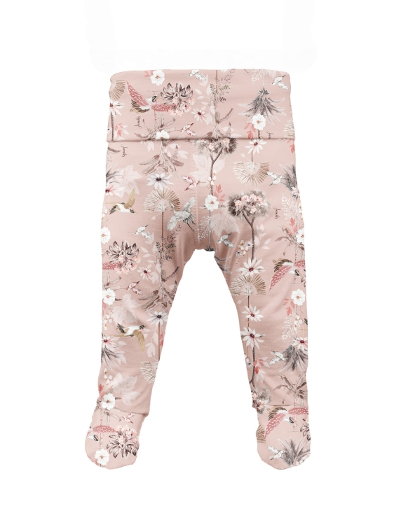 TESSA półśpiochy 1.jpg