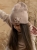 INAS 8_1.jpg