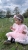 d962823e-bd66-43a8-9327-80dad3f18a51.jpeg